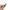 Chrome Olympe
