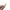 Encre nailart - Nailart Ink 09 (Orange)